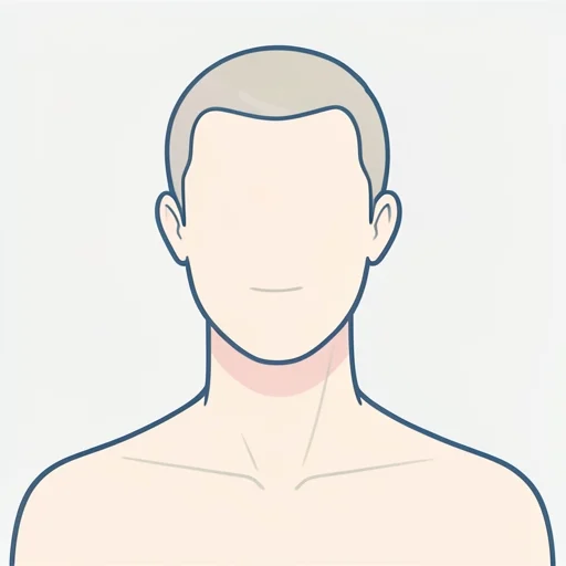首 - イラスト辞典